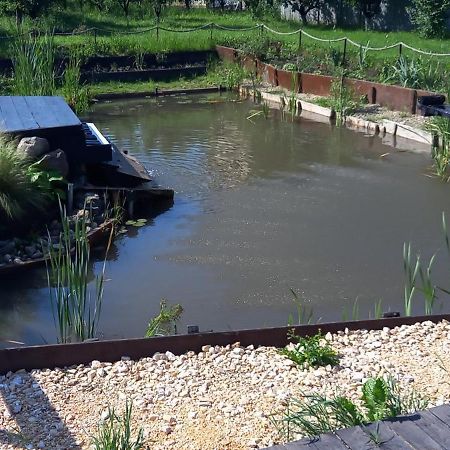 Hotel Casa Danei Braszów Zewnętrze zdjęcie