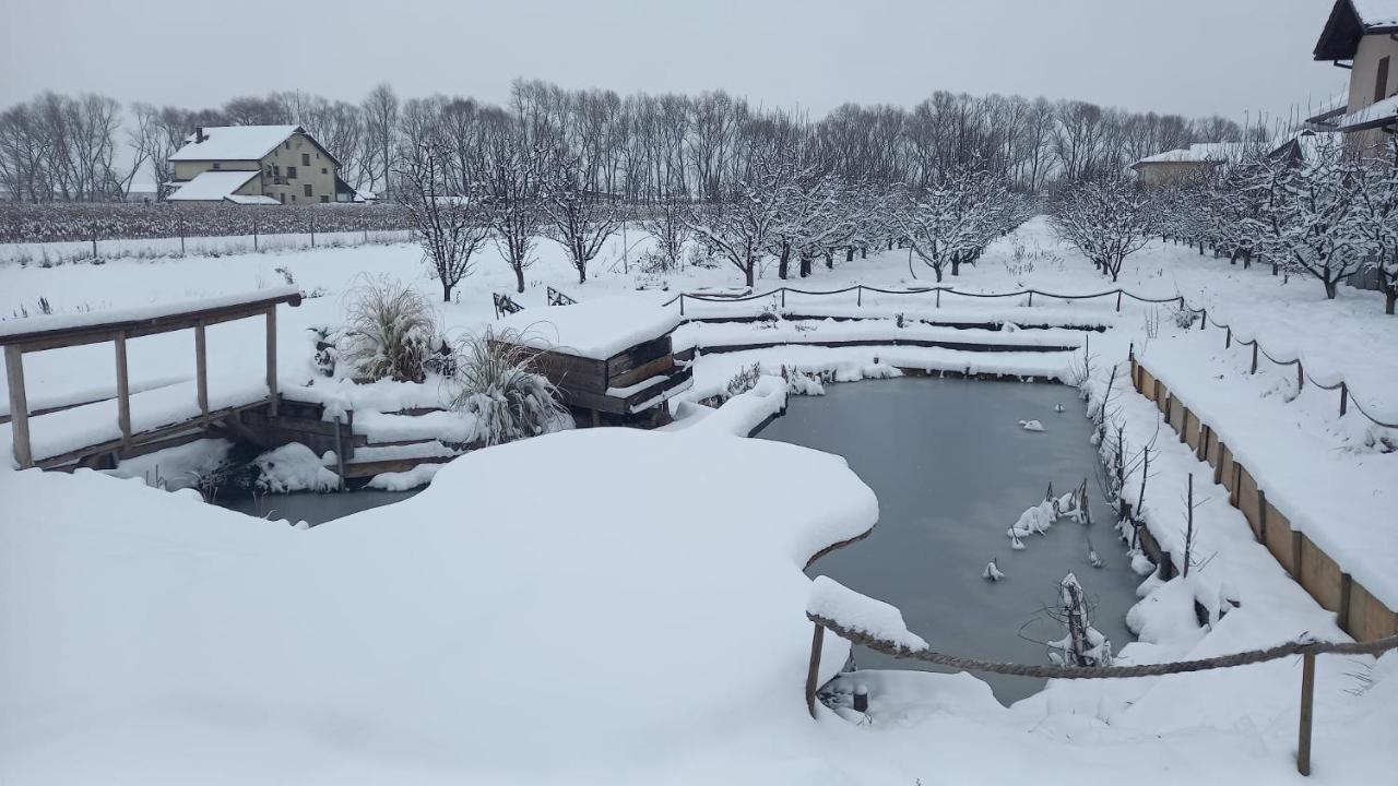Hotel Casa Danei Braszów Zewnętrze zdjęcie