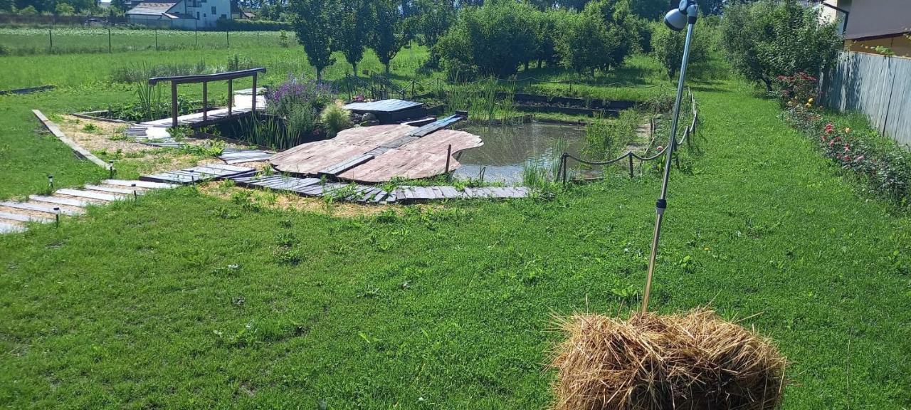 Hotel Casa Danei Braszów Zewnętrze zdjęcie